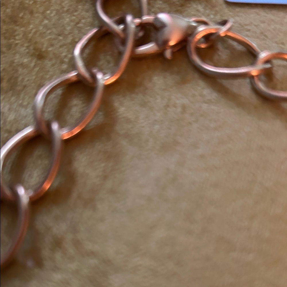 BRIGHTON Elegant Chain Necklace NWT. Cost $126 Heavy - Picture 6 of 10